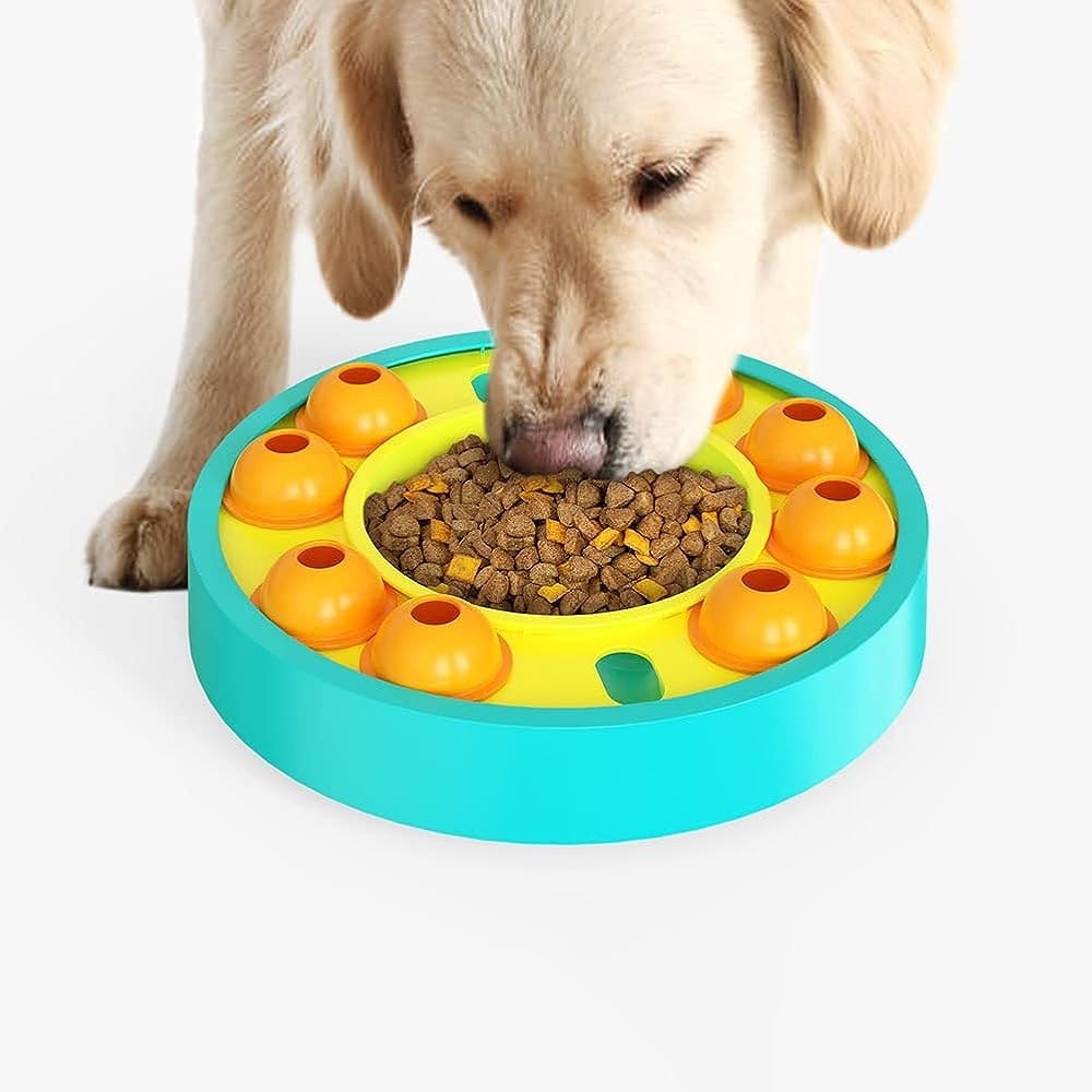 Slow Feeder Dog Bowl Enrichment Memory Training Puzzle Interactive Pet Toy